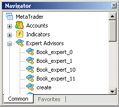 Fig. 30. Displaying the name of an Expert Advisor in the client terminal navigator window.